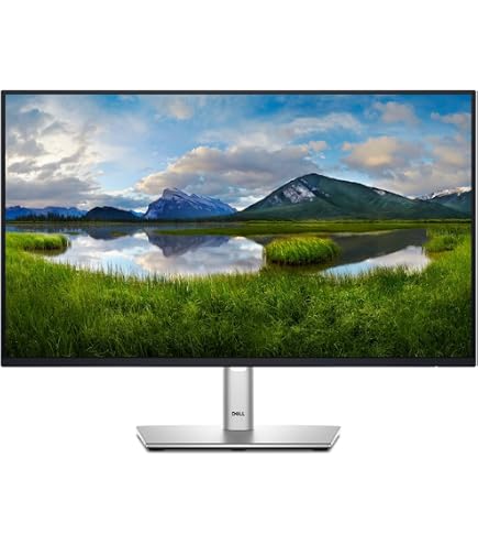 Dell 23.8 Monitor P2425H – 23.8